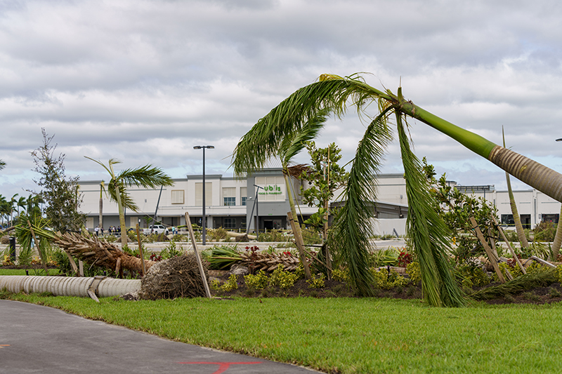 Aftermath of Hurricane Milton